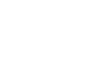 Fexion invest checmicals